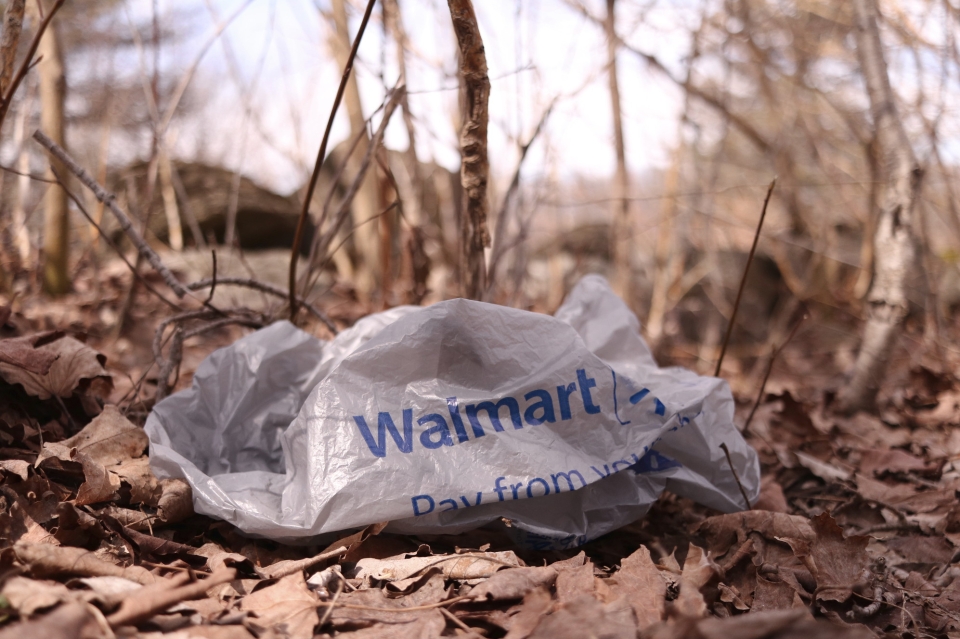 a Walmart bag on dead leaves